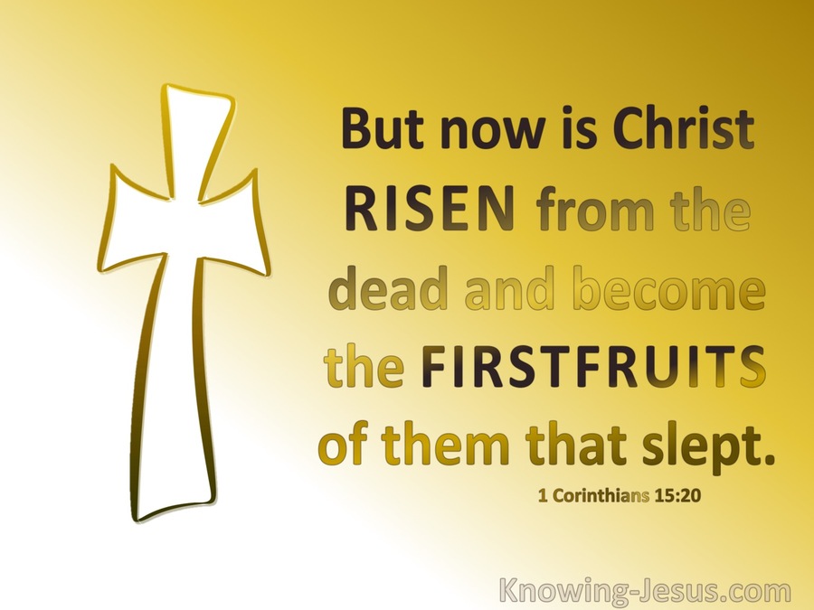 1 Corinthians 15:20 Christ Is Risen The Firstfruit Of Them That Slept (yellow)